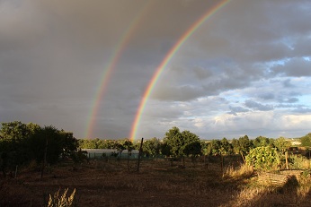 NATURE IMG_1991 ARCS EN CIEL